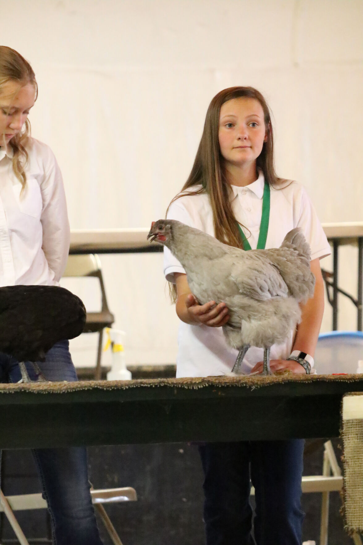 PHOTOS: Poultry Show at Scotts Bluff County Fair 2020